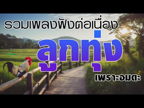 รวมเพลงฟังต่อเนื่อง ลูกทุ่งเพราะอมตะ