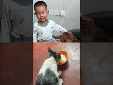 āĻŦā§āϞ āĻĄāĻ #āĻĒā§āώāĻž āĻĒā§āϰāĻžāĻŖā§ #āĻŦāύā§āϝāĻĒā§āϰāĻžāĻŖā§ āĻāĻĻā§āϧāĻžāϰ #āϤāĻĨā§āϝ #āĻāĻŽā§āϰāĻŋāĻāĻžāύ āĻŦā§āϞāĻŋ #āĻĒā§āϰāĻžāĻŖā§ #āĻāĻžāϞā§āĻŦāĻžāϏāĻž #āĻŦāύā§āϝāĻĒā§āϰāĻžāĻŖā§ #āĻāĻĻā§āϧāĻžāϰ