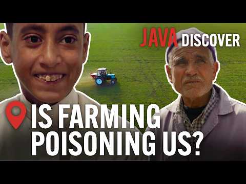 Phosphate Crisis: How Fertilisers Poison Children | Full Documentary