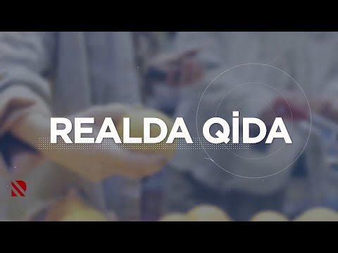 REALDA QİDA - 24.12.2024