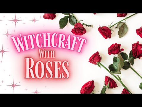Roses in Witchcraft - Are they just for Love Spells? ║AD