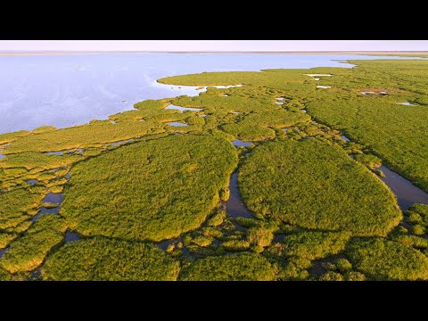 Gorongosa National Park | Africa's Greatest Wildlife Restoration