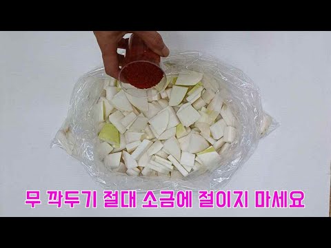 국밥집 깍두기 45년 비밀 레시피/아무나 막 담을수 있슈!!