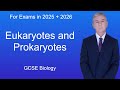 Eukaryotic and Prokaryotic Cells Comparison