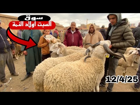 مباشرة من سوق السبت أولاد النمة 12/4/25 مع تمن حولي و حولية و النعجة 🐑🐑🇲🇦