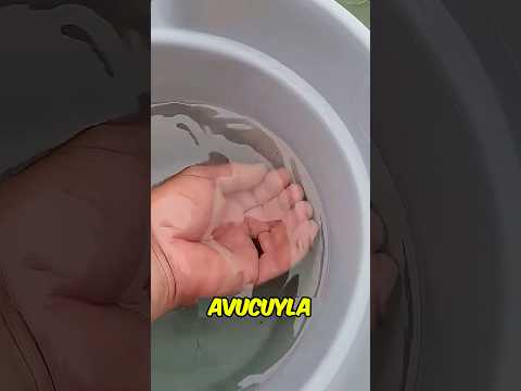 Sudaki Balığı Bulamayan Adam ⚕️😳