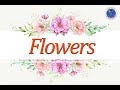 Understanding Flowers