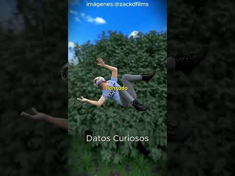 🕊️💥 ¡Una paloma lo hizo perder el control! 🏍️😱