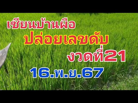 เซียนบ้านผือ.ปล่อยเลขดับงวดที่21ให้มาแล้ว16.พ.ย.67