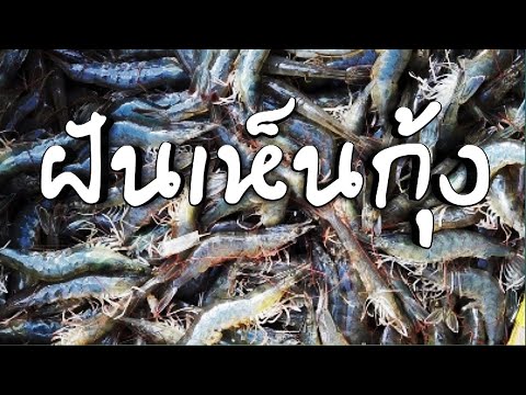 ฝันเห็นกุ้ง-ทำนายฝัน-เลขเด็ด-ห ฝันว่าสวดมนต์ ทำนายฝัน เลขเด็ด หวย หวยดัง ฝันว่าสวดมนต์ ทำนายฝัน เลขเด็ด หวย หวยดัง ฝันว่าสวดมนต์ ทำนายฝัน เลขเด็ด หวย หวยดัง ฝันว่าสวดมนต์ ทำนายฝัน เลขเด็ด หวย หวยดัง