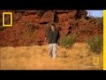 Impact of Humans on Megafauna