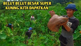SPOT RAWA DI DEPAN PERUMAHAN WARGA BENAR BENAR BANYAK BELUTNYA
