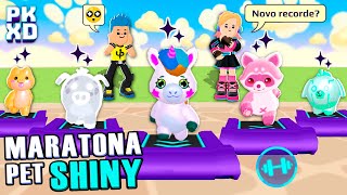✨ Maratona Pet SHINY: Novo RECORDE no PK XD?