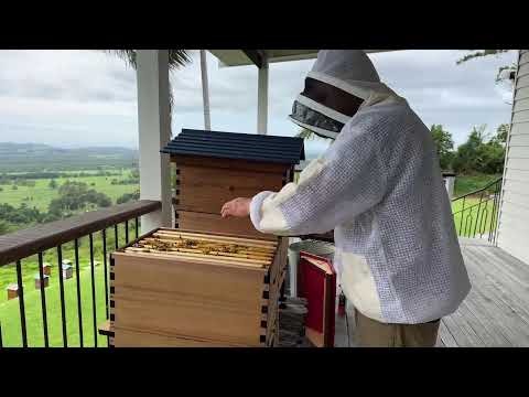 Is my hive ready for a Flow Super?