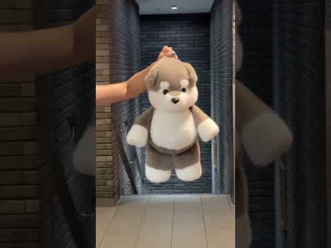 Wowwww! These plushies can run!🥰🥰#plushies #stuffedanimals #plushtoys
