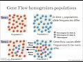 Gene Flow and Population Diversity
