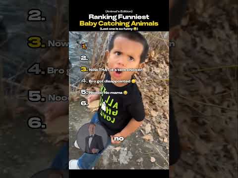 Ranking Babies and Animal Moments