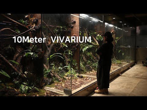 Making a vivarium with a total length of 10 meters | 총 길이 10미터의 비바리움 만들기