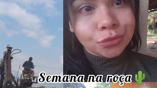 Uma semana na roça 🌵. A Série