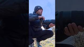 Amazing wildlife shots, taken on the LUMIX S5IIX