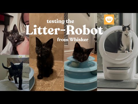 Testing the Litter-Robot from Whisker!