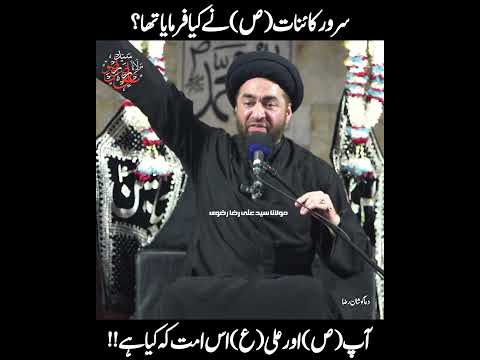 Sarwar Kainat | Hamari Nafarmani Na Karna Mein Aur Ali Is Ummat Ke Baap Han | Allama Ali Raza Rizvi