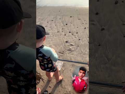 شاهد ماذا فعل هذا الولد . (ما اجمل من الإنسانية)#shortvideo #shortsvideo #طفل #baby #hero#turtle