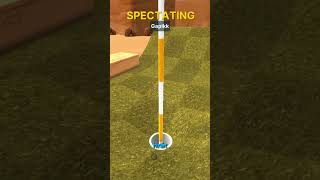HOLE IN ONE!!! #gameplay #golf #golfwithyourfriends