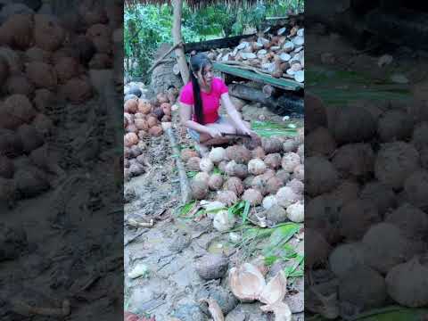 ISA sa mga proseso ng pagkokopra