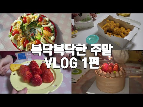 삐약이 극장(복닥복닥한 한닭쌤네 주말 일상 VLOG 1)