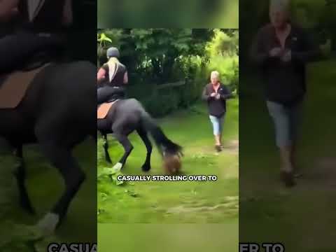 Unexpected Encounter 2