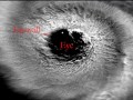 Hurricanes and Severe Weather Concepts