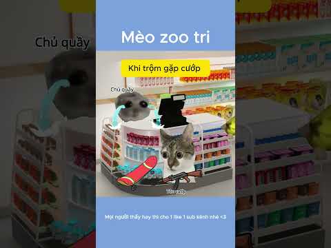 2 tên trộm tốt bụng bắt cướp
