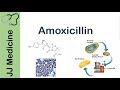 Amoxicillin and Bacterial Resistance Concepts