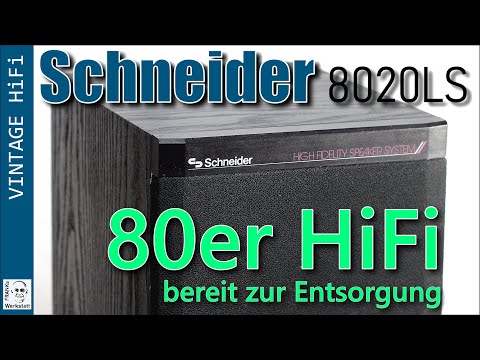WARUM KOMMT DA NOCH WAS RAUS? | Überraschung beim Entsorgen einer Schneider Anlage | #lautsprecher
