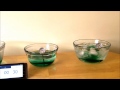 Food Coloring and Particle Motion