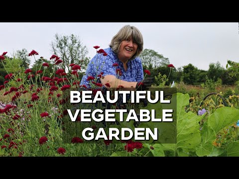 Early summer in the Vegetable Garden | Beautiful Food Growing