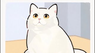cute cat (mèo 6 chân ) #meo6chan #cute #meme