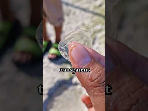 fish you've never seen before 😯