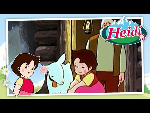 🗻Heidi también sabe ordeñar - Heidi - Escenas divertidas 🏔🌹🌲🗻