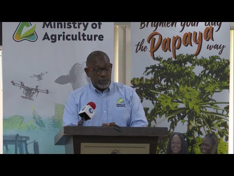 YouTube video thumbnail: Efforts to Boost Barbados' Papaya Production Capacity