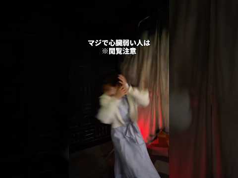 【ガチで閲覧注意】マジで心臓に悪いビビらせ館がやばかった