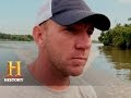 Alligator Capture and Behavior