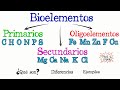 Bioelementos y sus funciones