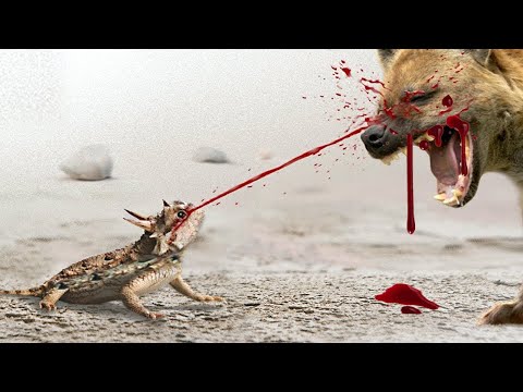 প্রানীগুলির থেকে সবসময় দূরত্ব বজায় রাখুন/Fatal Ways Animals Protect Themselves From Predator Bengali