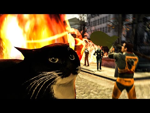 Half-Life 2, но у меня есть кот