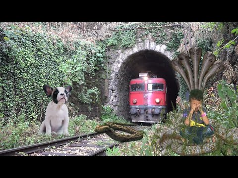 ANACONDA AND NAGIN STOPS THE TRAIN AT UNMANNED LEVEL CROSSING IN INDIAN TRAIN SIMULATOR