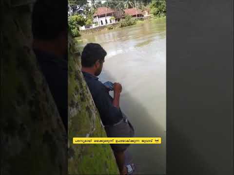 പരസ്യമായി മയക്കു മരുന്ന് ഉപയോകിക്കുന്ന  യുവ കോമളൻ ? #trending #shots #shorts
