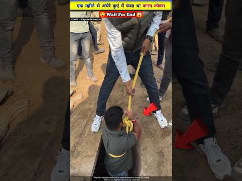 अंधेरे कुएं में फंसे कोबरा की बचाई जान 😱🐍