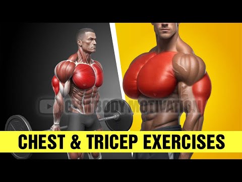 6 Best Chest And Tricep Workouts For Building Muscle